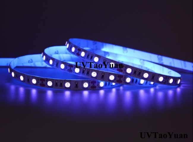 UV LED Strip Light SMD5050 395nm 1M/60LED